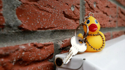 Closeup shot of a duck keychain on a white surface outdoors