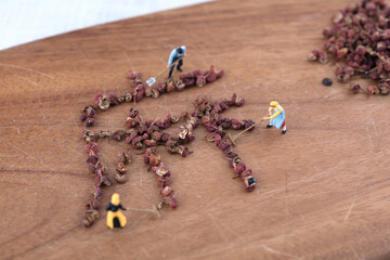 Workers of miniature creative labor put hemp peppers into the word 