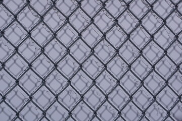 Fototapeta premium Freezing Rain Chain Link Fence - Close