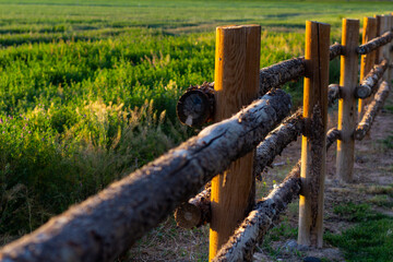 Old wooden fence in a rural area at dawn - Powered by Adobe