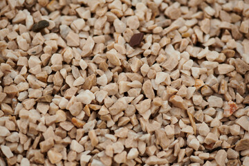 rocky beach in montenegro in the city of kotor