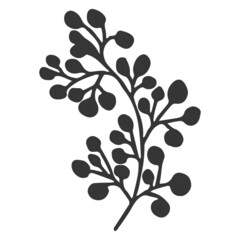 Floral plant, branch in doodle style isolated on white background. Elegant design decoration, element. 