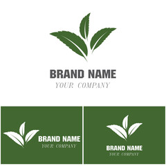 Logos of green Tree leaf ecology nature element vector