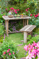 Fototapeta na wymiar Gardening tools on table and spring flower on the terrace in garden