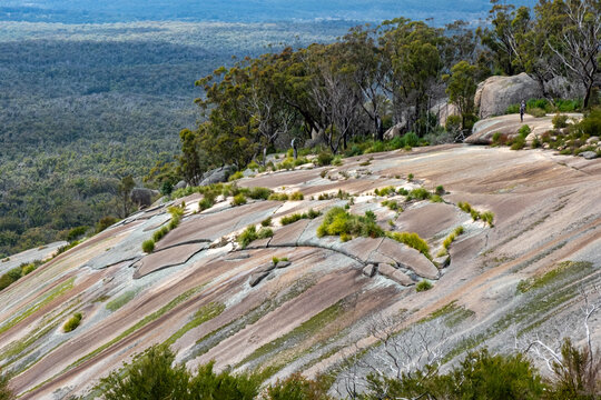 Bald Rock National Park, NSW, Australia. Bald Rock is Australia's largest granite rock.	