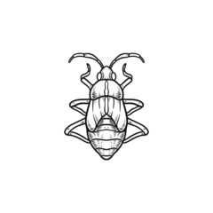 boxelder bug hand drawn illustration
