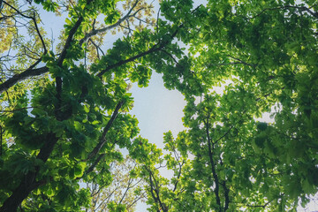 sunlight through the window
