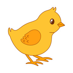 Cute easter yellow chick character isolated on white background. Baby vector flat illustration with farm bird