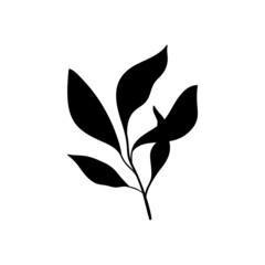 A small herbaceous plant. branch of forest herbs with 5 leaves. From the collection Herbs and plants of tropical and other forests