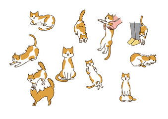 いろいろな猫のポーズ　人間と暮らす幸福なペット　温かみのある手書きの動物