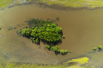 Drone photo of a island of trees in a river.