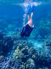 Naklejka na ściany i meble person snorkeling in the sea in bora bora