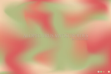 Alopecurus myosuroides background textura granulada degradado gradiente