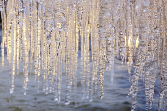 Hanging icycles in the forest in winter