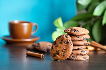 Stack of oatmeal cookies with chocolate and cinnamon