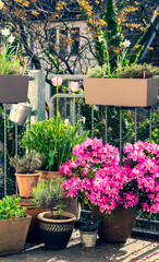 Fototapety na wymiar - Fototapeta24.pl