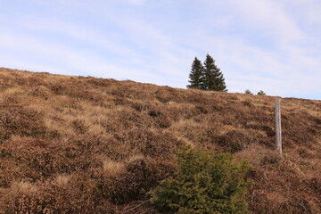 Blick vom Berg Belchen auf die Wolken behangenen Täler des Schwarzwalds	