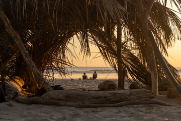 Obraz premium Beach shelter made of wood and palm tree leafs. Shadow at he beach. Travel and vacation with island feeling, exotic tropical background