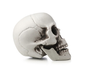 Human skull isolated on white background
