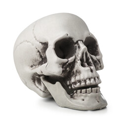 Human skull isolated on white background