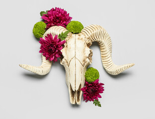 Skull of sheep and flowers on grey background