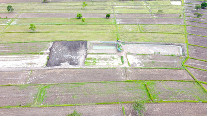 Aerial drone view of green fields and farmland.