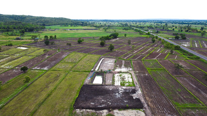 Fototapeta na wymiar Aerial drone view of green fields and farmland.