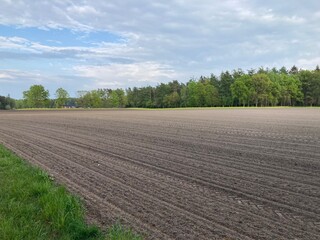 Frisch bestelltes Ackerland im Frühling am Waldrand 