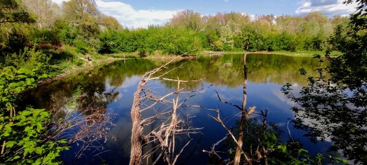 Jeziorko Kiełpińskie Natura © Krzysztof