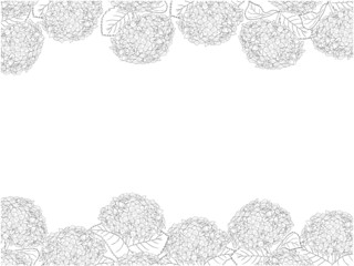 あじさいの線画フレーム①黒_上下