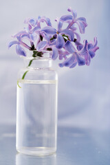 a small sprig of lilac flowers in a small transparent bottle