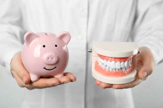 Dentist holding educational typodont model and piggy bank on light background, closeup. Expensive treatment