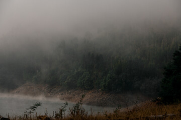 Atmospheric view to hillside covered with trees near the water covered with white haze and fog