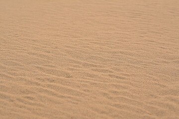 Closeup view of clean beach sand outdoors