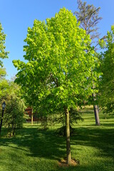 Reduce CO2.Sustainable Eco-friendly carbon dioxide Environment concept. Carbon neutral or carbon net-zero concept background photo Carbon neutral or carbon net-zero concept background photo.