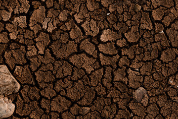 top view of dry ground with cracks in the background. Texture.