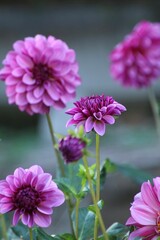 みつけてくれてありがとう....