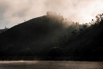 beautiful landscape of hills with trees near the water covered with fog