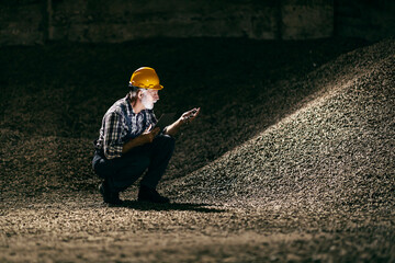 Technology and quality control in the sugar industry. 