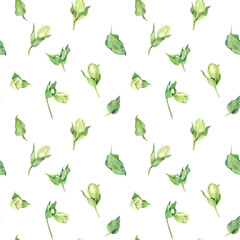 Watercolor floral seamless pattern. Isolated  hellebore flowers on white background.  Hand drawn of painting.