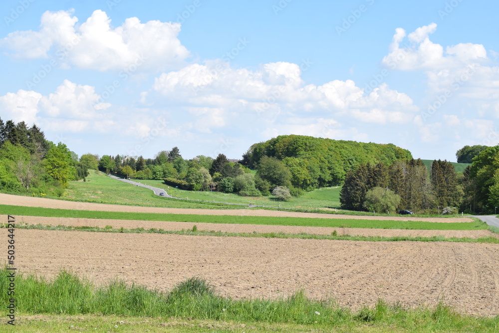 Wall mural Eifellandschaft mit einer Nebenstrasse durch Bell