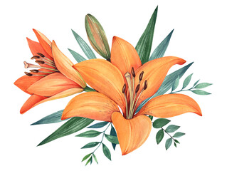Orange lilies on a white background. Bouquet of flowers. Watercolor illustration.