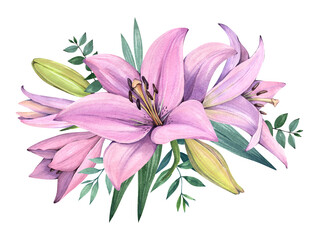 Bouquet of flowers. Pink lilies on a white background. Watercolor illustration.
