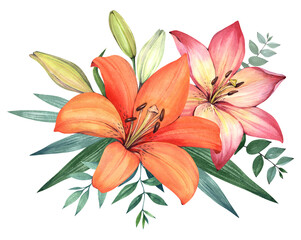 Orange lilies on a white background. Bouquet of flowers. Botanical watercolor illustration.