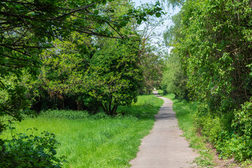 Fototapeta na wymiar way through a green city park in spring