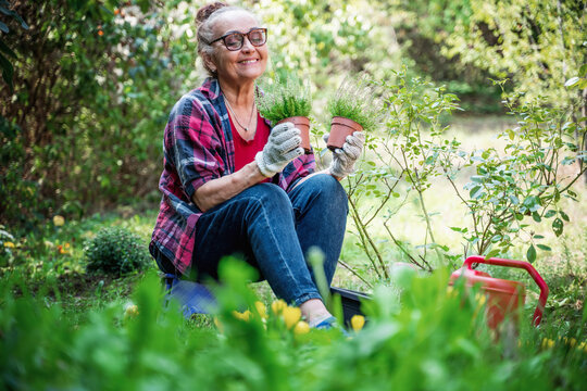 Happy beautiful senior elderly woman 60 years old working in garden planting flowers