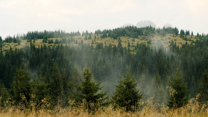 View of the white domes in the distance among the green forest in the mountains. Pamir, Carpathians, Ukraine, Europe.