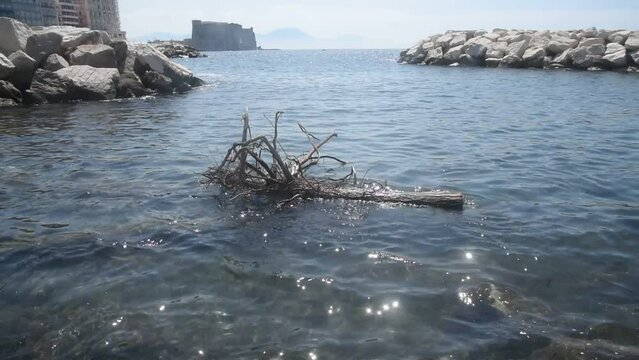 Video clip of old tree gently floating in ocean with Castel dell Ovo in distance, Megaride island, Santa Lucia, Naples, Italy. 