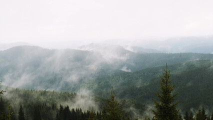 The movement of fog and fumes over the Carpathian forests in the mountains among green firs.