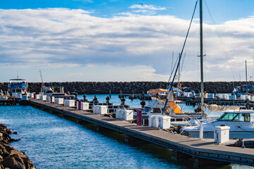 Fototapeta premium Oahu landscapes and flowers